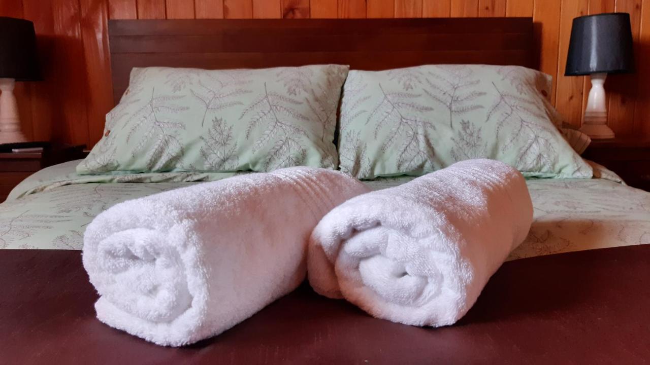 Casa Treguel B&B Villarrica Exterior foto